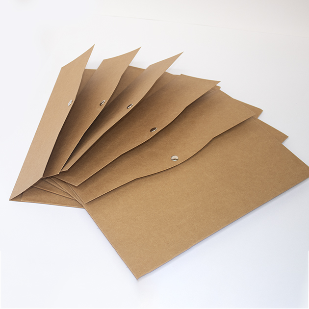 Kraft Paper Files - Pack of 5